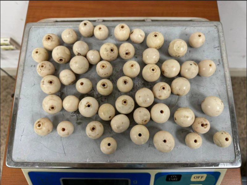 北京海关今年已查获2027件被违规携带入境的象牙制品