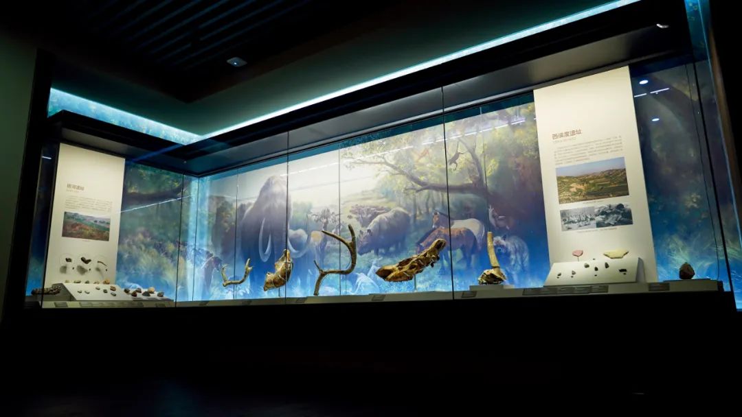 三千年前的文物,惊现愤怒小鸟?