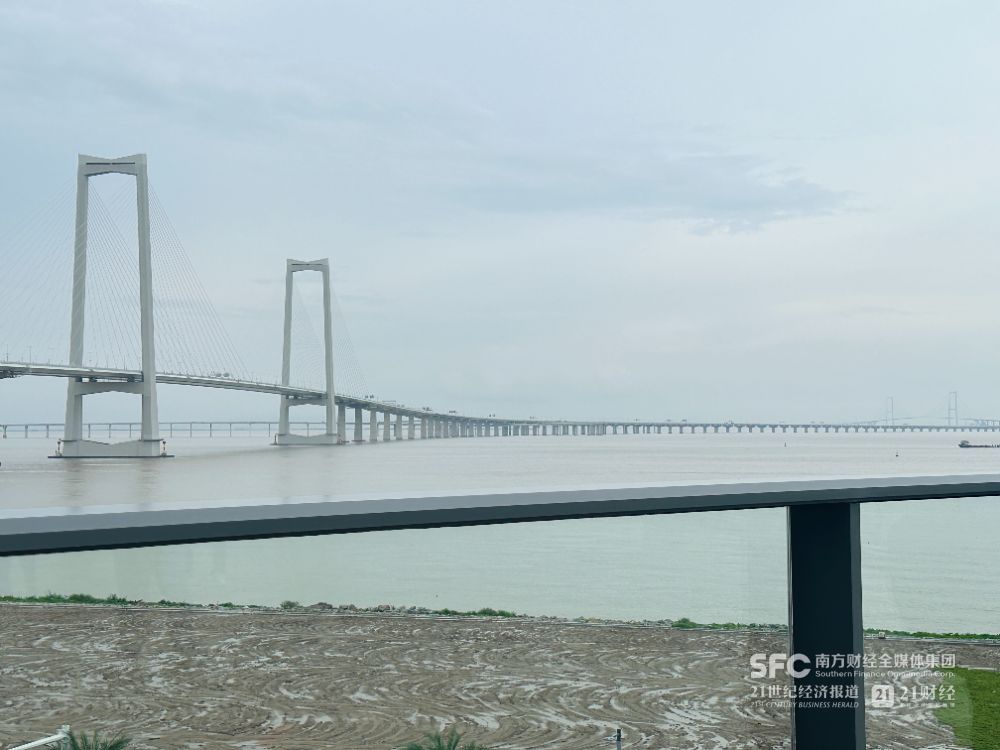 （站在湾区未来科技城眺望深中通道。图片来源：梁施婷/摄）