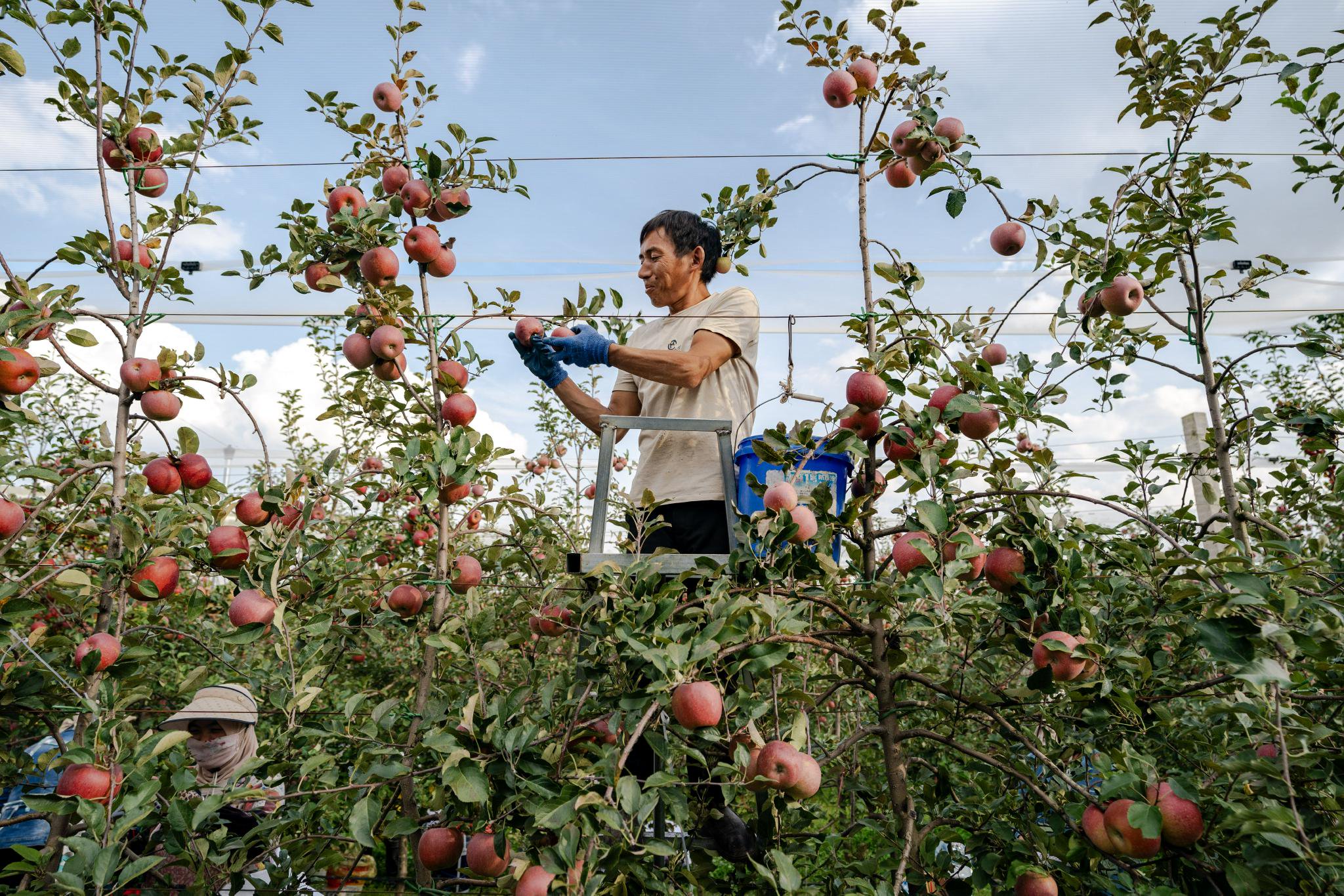 云南昭通:于磅礴乌蒙山间打造一片投资热土