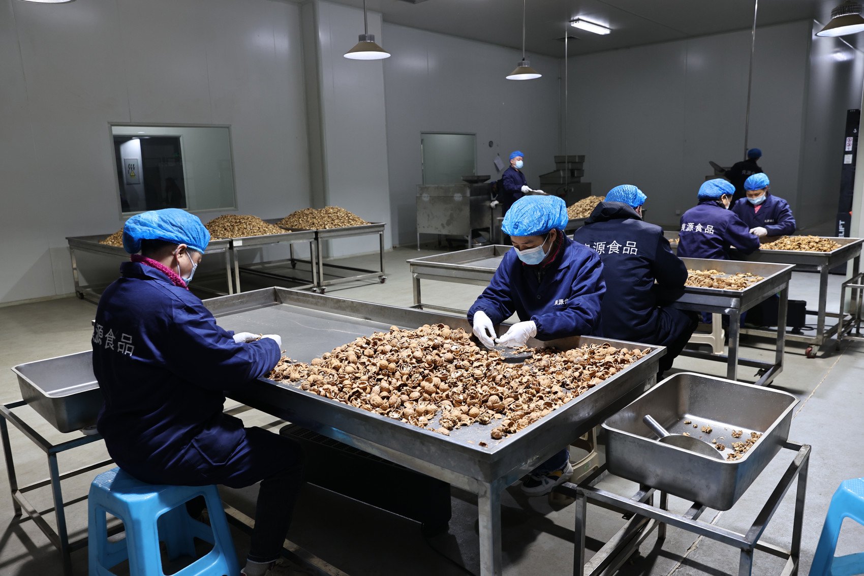 在南江县东榆工业园区良源食品有限公司车间,工人们正在加工核桃