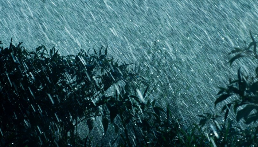 地方新闻精选 | 武平特大暴雨致4死2失踪 梅州超13万户停电-武平县属于哪个城市管辖