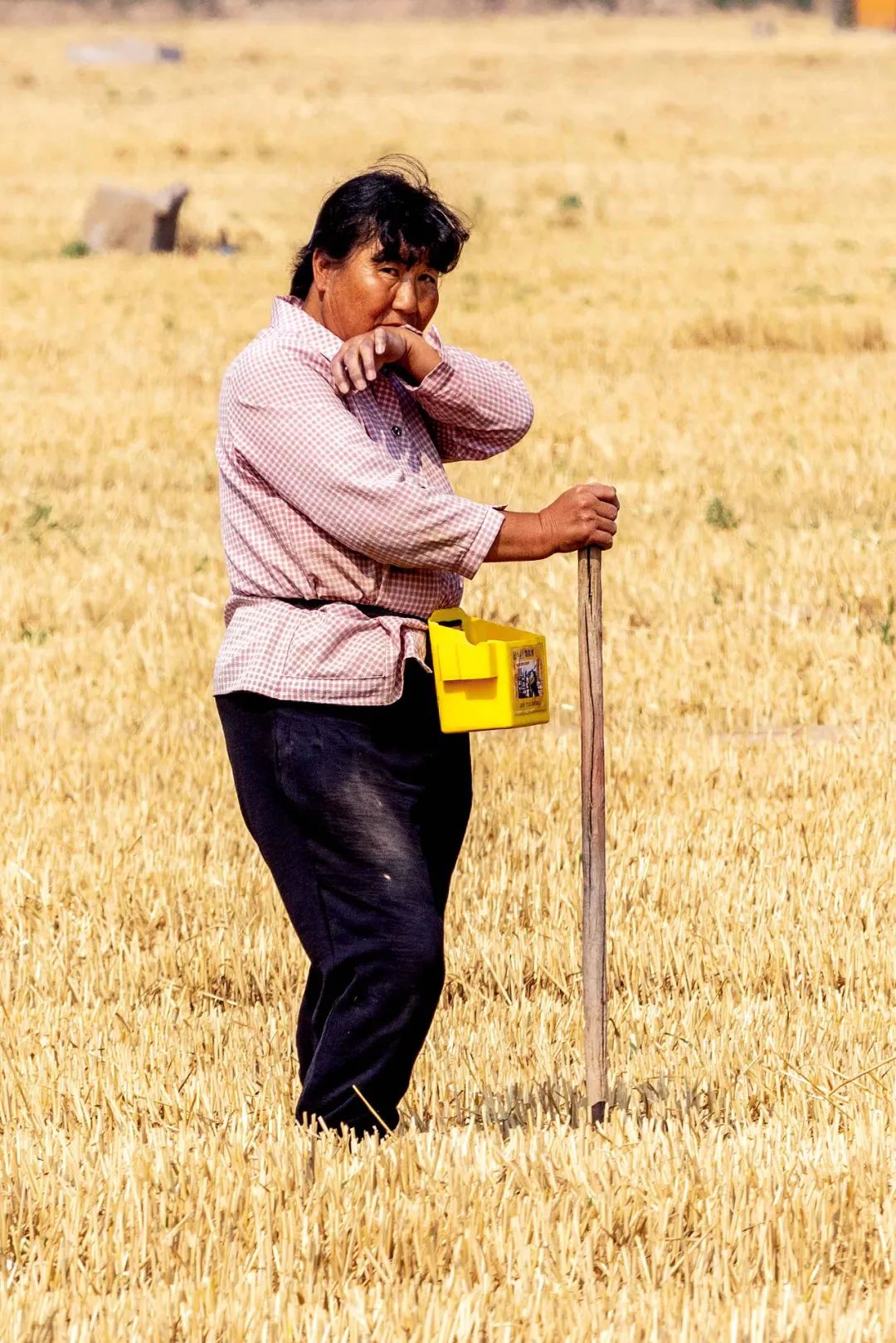 河南农民:"十年都没这样旱过"