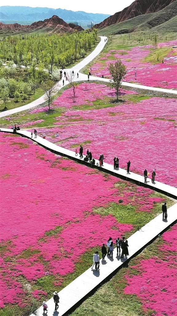 游客在将军山辽疆生态公园游玩,尽享美景(摄于4月27日).王志清 摄