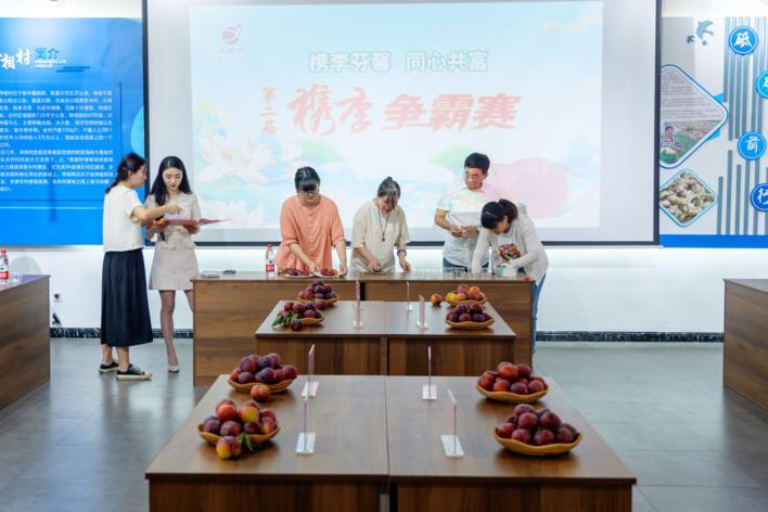原产地净相村的槜李快上市啦!