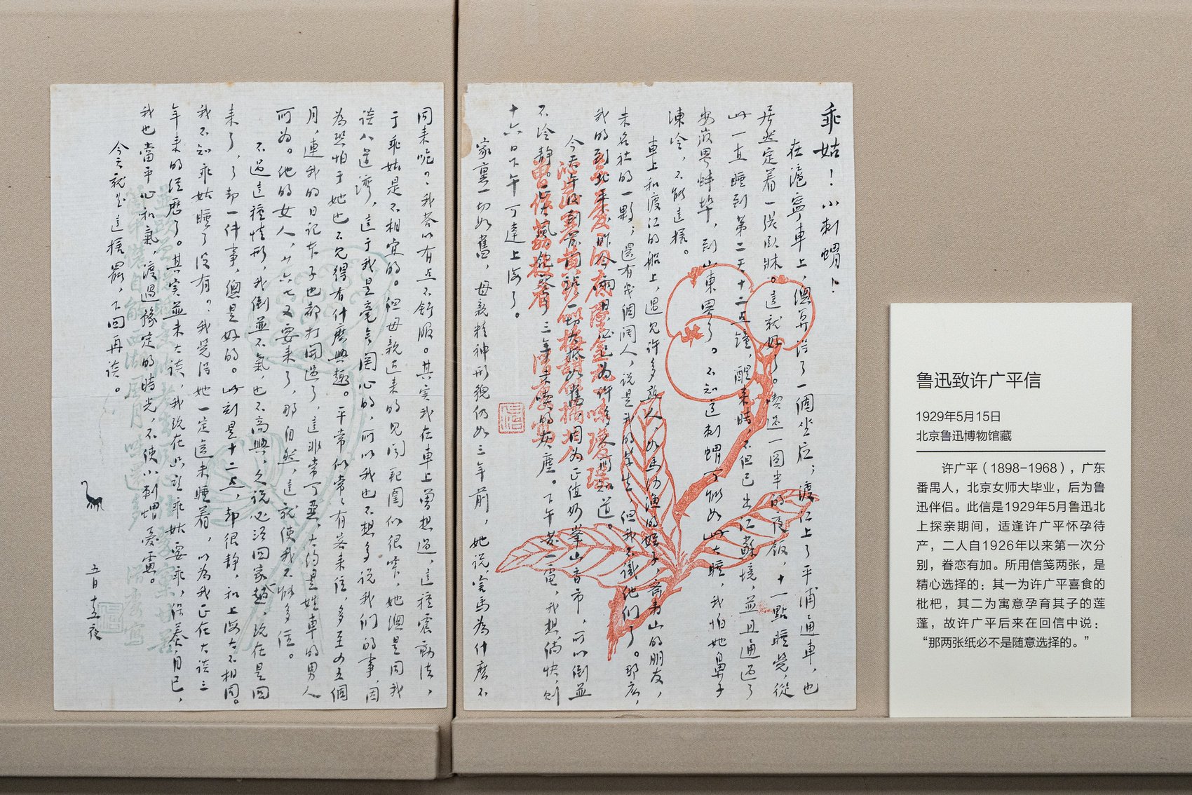 鲁迅致许广平信 1929年5月15日 北京鲁迅博物馆藏