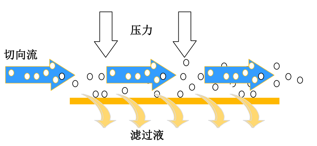 中空纤维柱在重组蛋白收获澄清工艺的应用_新浪财经_新浪网