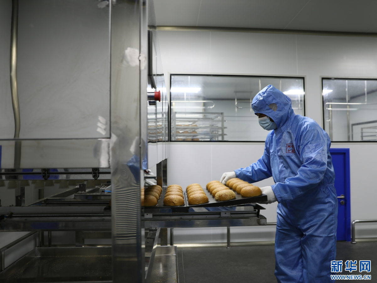 宁晋县一家食品加工企业内,工人将面包放入生产线.朱丽娜 摄