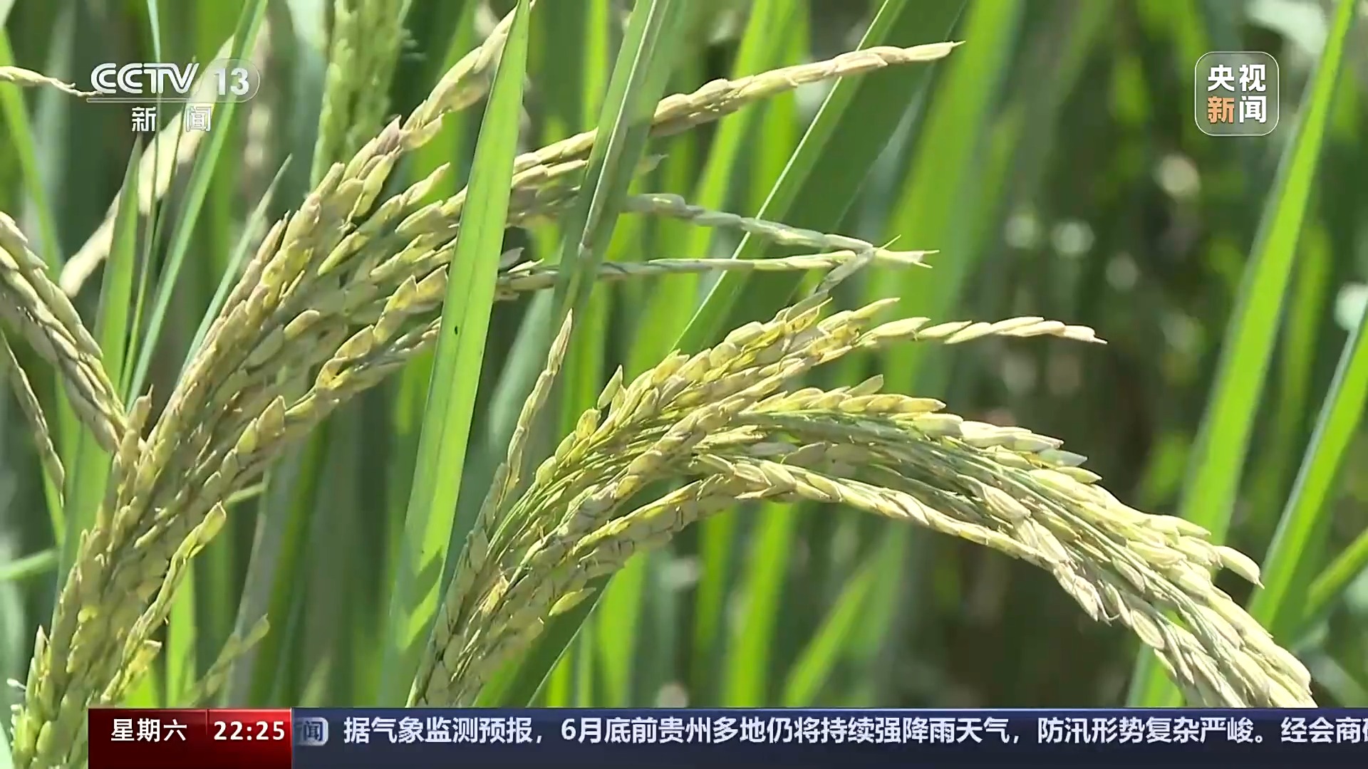 南涝北旱,旱涝并发,极端天气该如何应对?