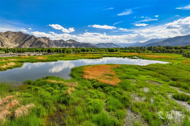 曲水县茶巴朗湿地位于拉萨河谷地带，经过多年的保护治理，湿地生态环境优良、河谷田园风光优美、渔文化独特。杨天民摄