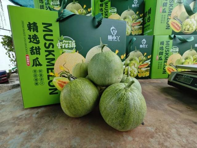 单果重500克到600克之间,"这样大小更适合一个人或者两个人一次吃完