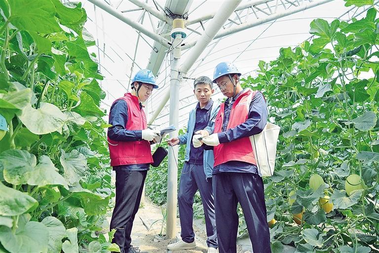 图为国网廊坊供电公司职工开展“三夏”用电服务走访活动。 本报通讯员 司璐 摄