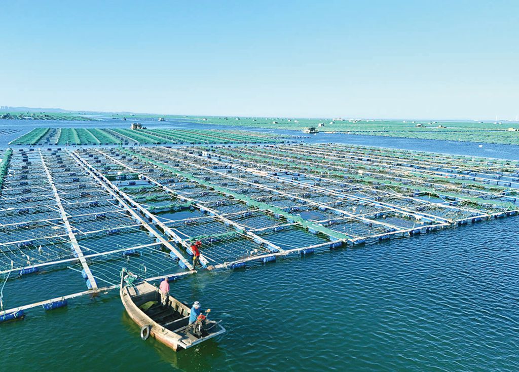 山东省荣成市大力推广科技兴海走出一条海洋经济创新绿色发展新路径