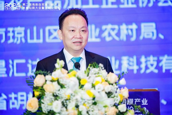 中国搜了集团联合创始人、海南胡椒科技发展有限公司联合创始人唐华发表演讲