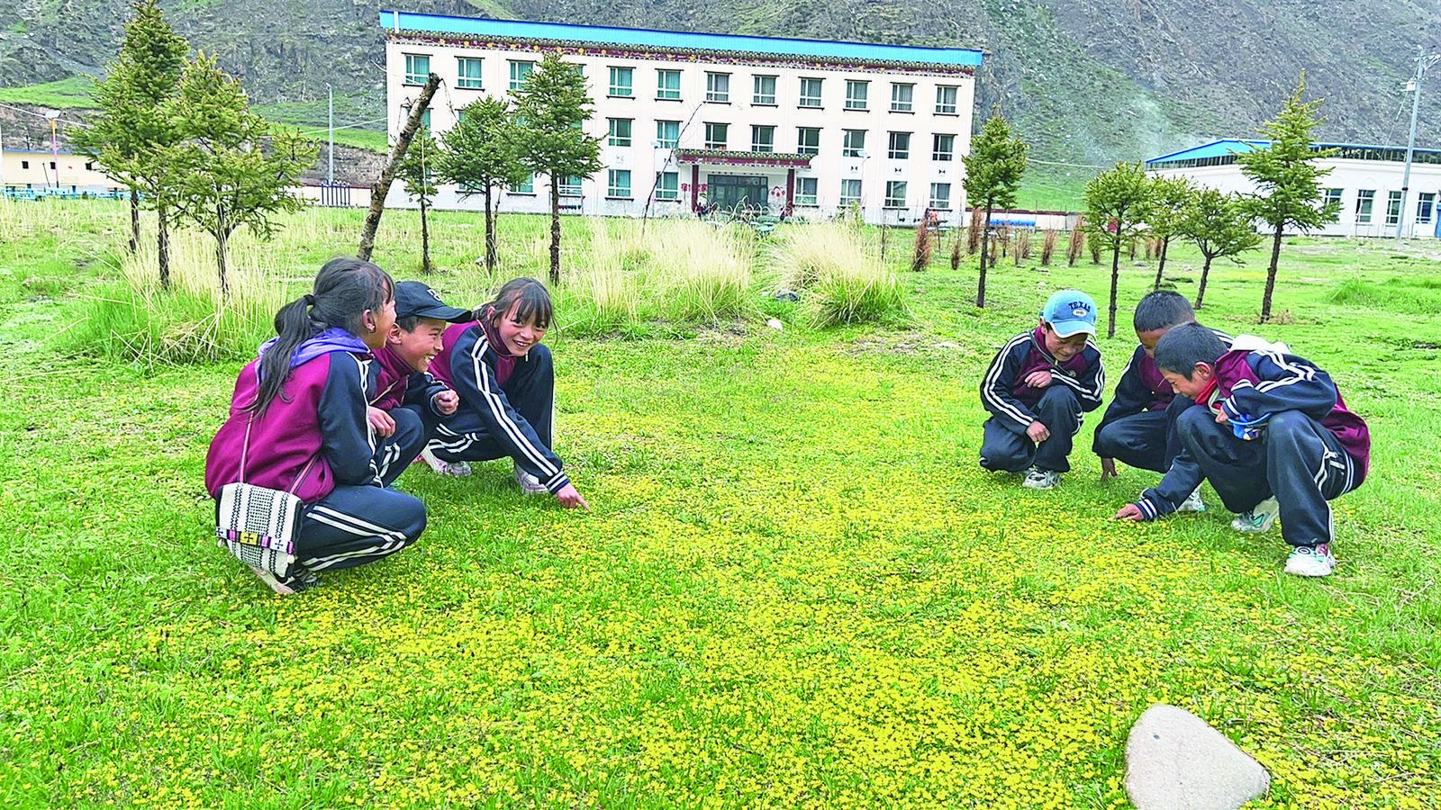 在孩子心中植入绿色种子