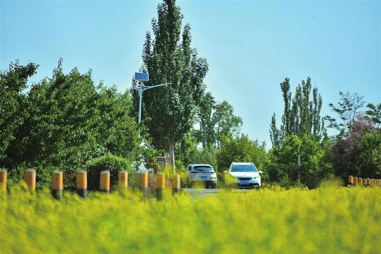 百花公园玉树琼枝,风景如画.文曲湖畔林水相依,景色宜人.