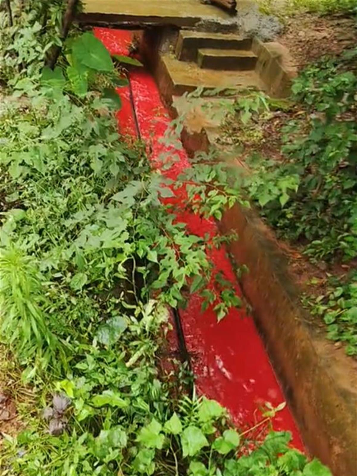 【8点见】胡友平见义勇为离世 救人细节披露