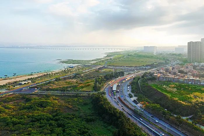 国道g228厦门同安滨海西大道段 厦门公路中心 供图