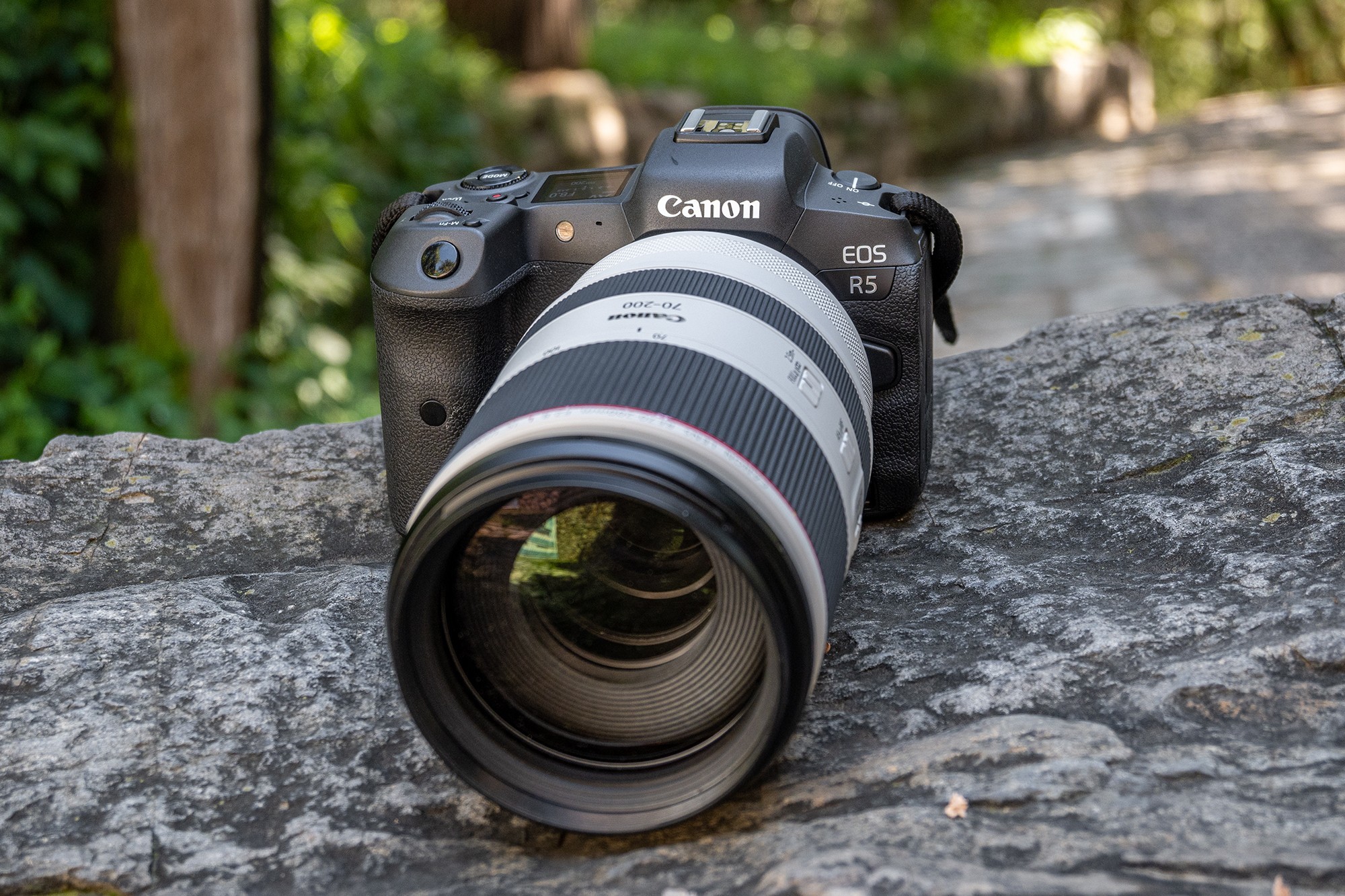 佳能EOS R5 Mark II预计7月中旬发布？或采用堆栈传感器|佳能eos|摄影|EOS R5_新浪科技_新浪网