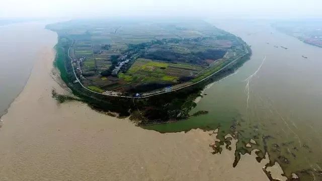 "防汛人手严重短缺",时隔4年九江江洲镇再次召唤在外乡亲