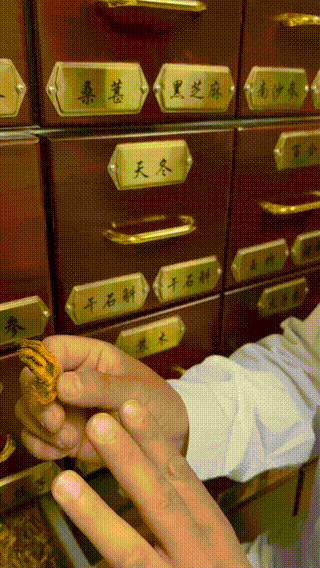 张鹏正在介绍如何辨别黄连。中工网记者丁梦茹 摄