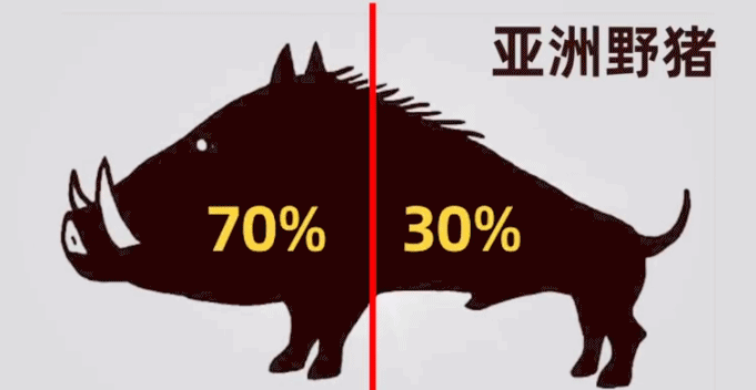 △图源：《国宝》