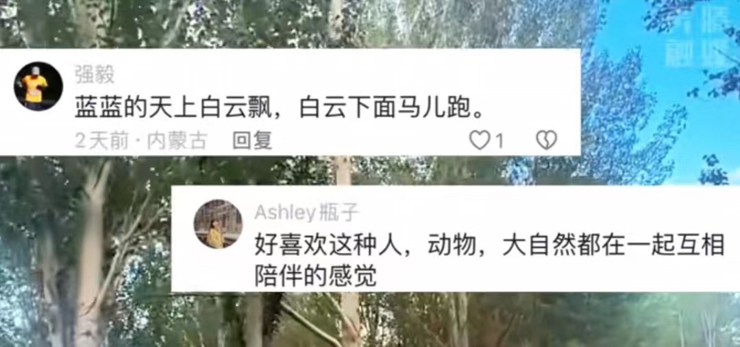 這個夏天,內蒙古的駿馬 妥妥的成了網紅! - 新浪香港