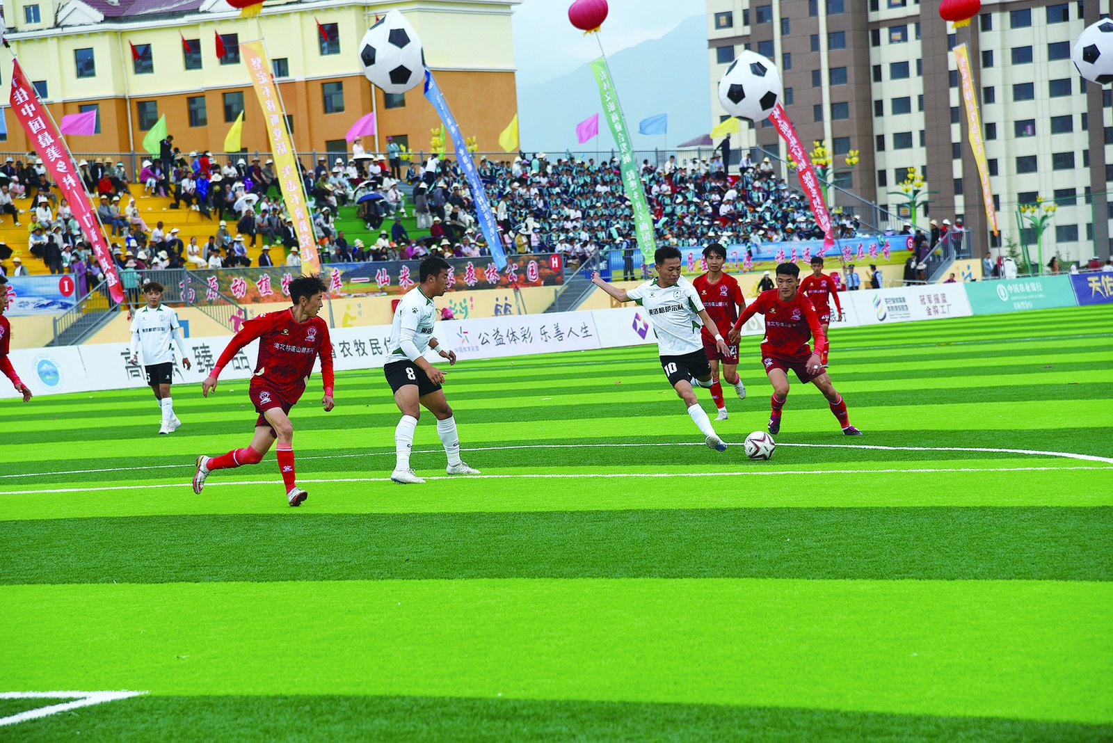 芳菲迎盛夏 花海共足球