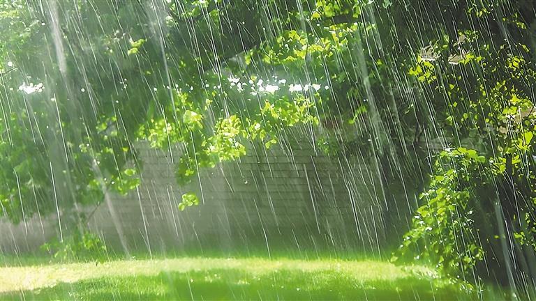 夏天,乡村雨韵|田野_新浪财经_新浪网