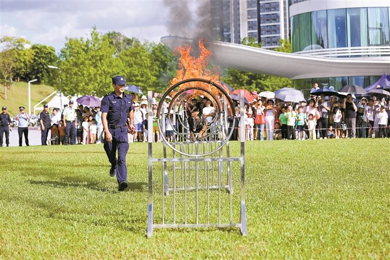 警营开放日 一月一主题