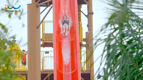 图/欢乐海岸PLUS