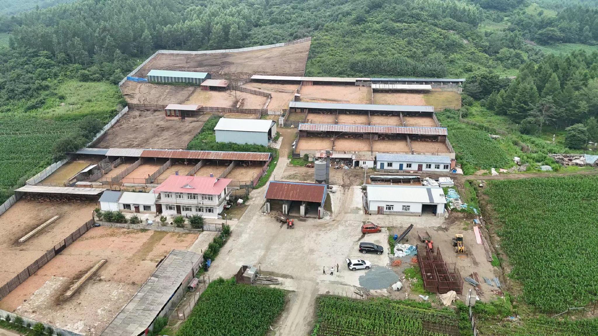 今年,梅花鹿自然繁殖了许多幼崽,扩大了鹿场的规模.