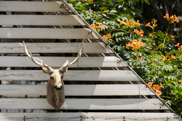 焦距:109mm　 光圈:f/5.0　 ISO感光度:100曝光时间:1/250s　 曝光补偿:0EV　 白平衡:手动