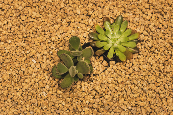 焦距:89mm　 光圈:f/4.5　 ISO感光度:5000曝光时间:1/200s　 曝光补偿:0EV　 白平衡:手动