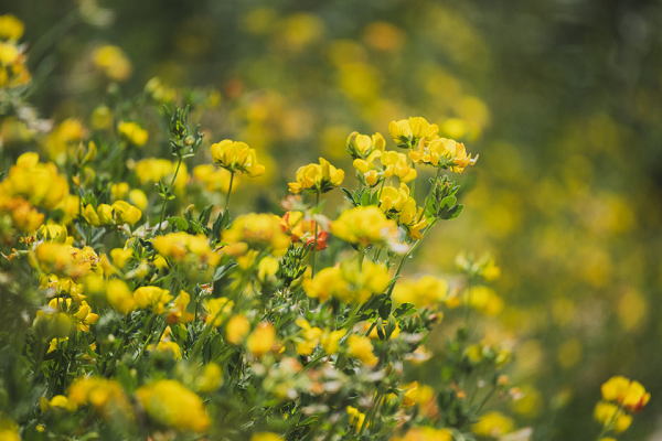 焦距:189mm　 光圈:f/7.1　 ISO感光度:125曝光时间:1/400s　 曝光补偿:0EV　 白平衡:手动