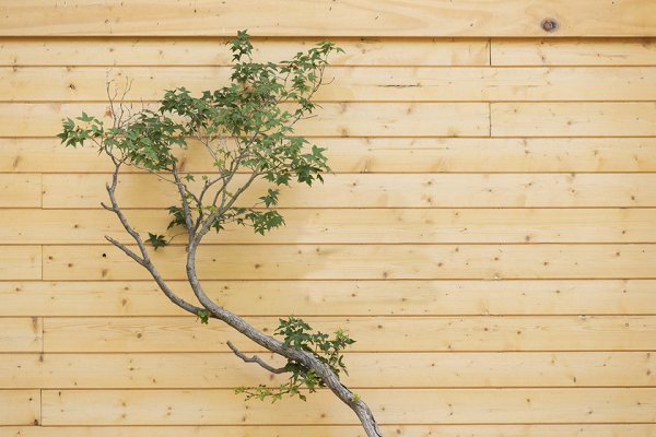 焦距:100mm　 光圈:f/7.1　 ISO感光度:320曝光时间:1/160s　 曝光补偿:0EV　 白平衡:手动