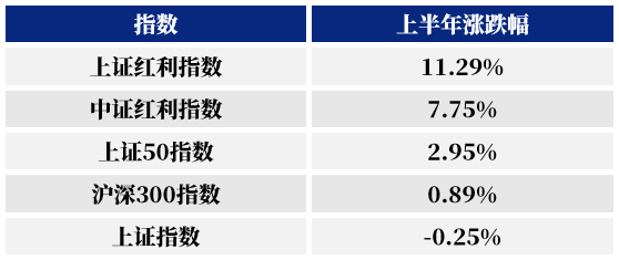 　　数据来源：Wind，时间区间为2024年1月1日至6月28日。