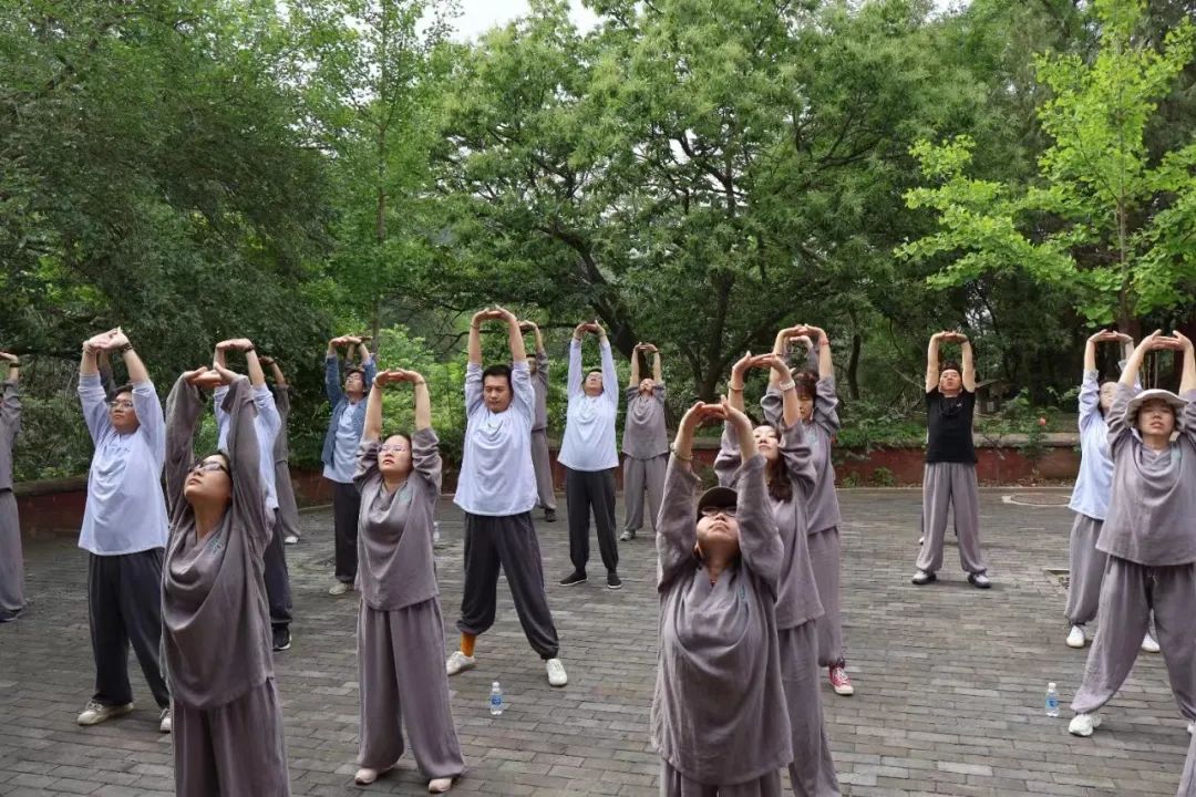 北京朝阳寺的短期禅修课灵隐寺的体验活动还有一项规定——全程手机上