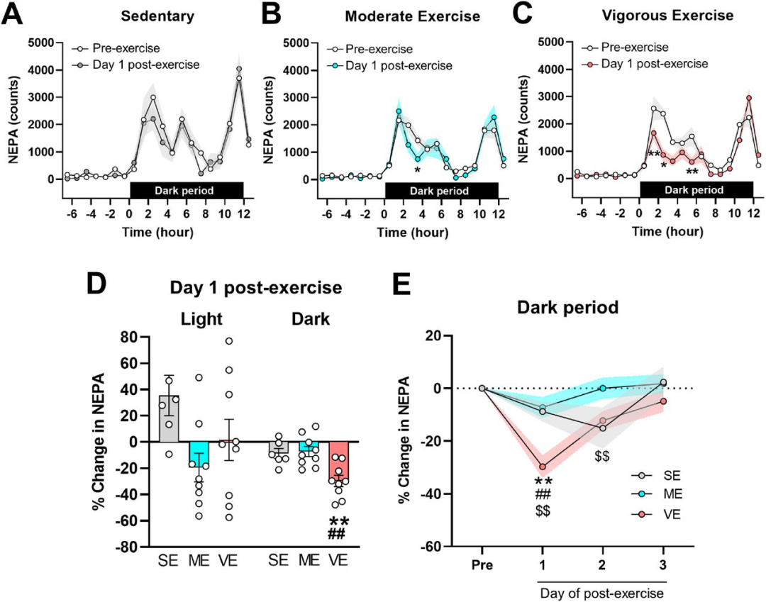 饭前饭后为何不宜立即剧烈运动?...