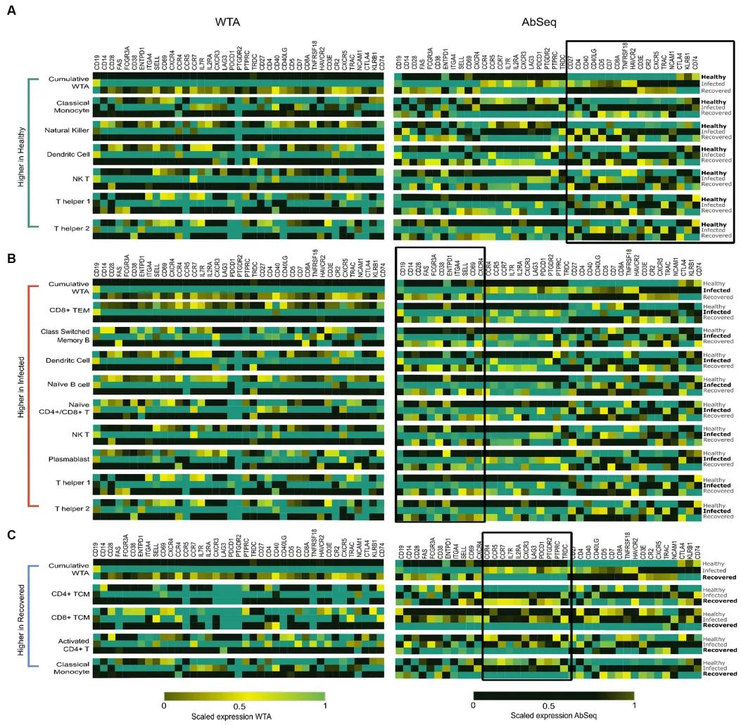 【单细胞测序系列】只做转录组不做蛋白组,意义少一半?