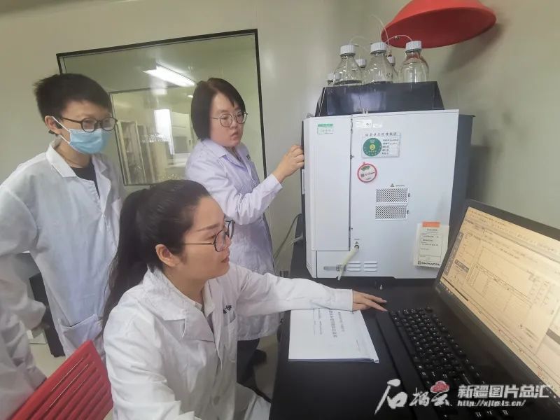 新疆这项研究进展良好!