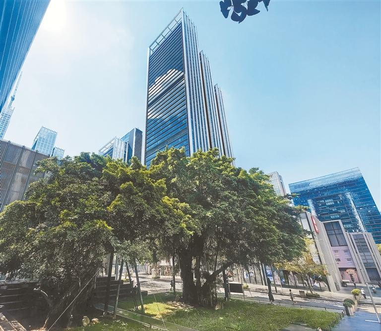 深圳特区报记者 李忠 摄编者按:"古树名木保护提升行动"是绿美广东