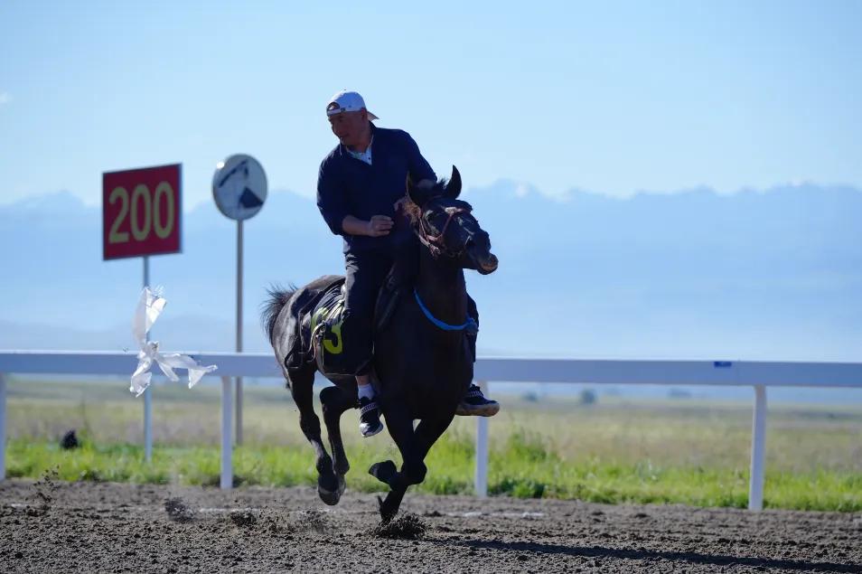 实力强劲!跑马拾哈达"双料"一等奖产生