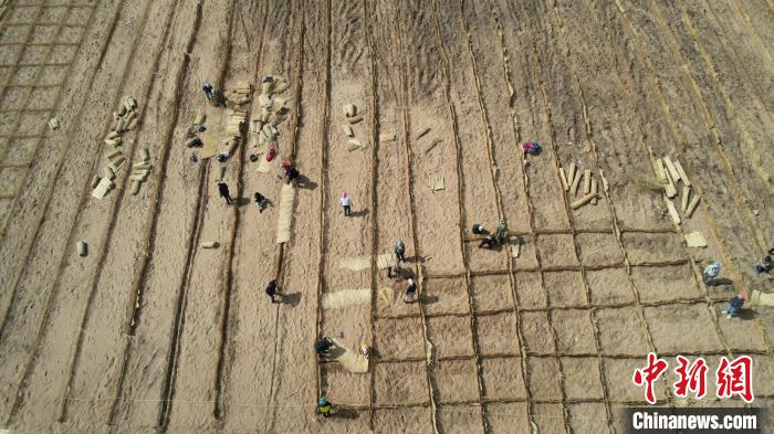 图为哈林山脚下与风沙作战的农牧民。(资料图)杜尔基镇人民政府供图