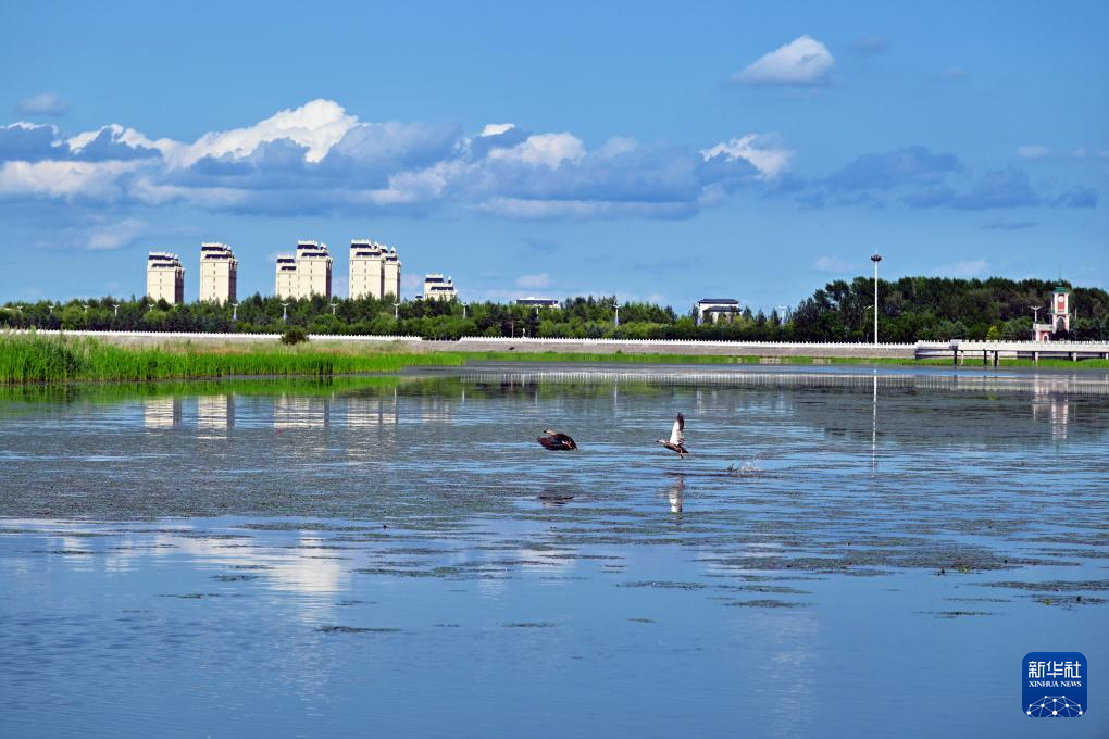探访同江三江口国家湿地公园