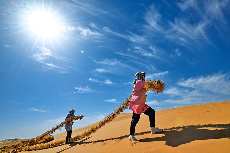 治沙工人在宁夏中卫市境内的腾格里沙漠铺设刷状网绳式草方格沙障
