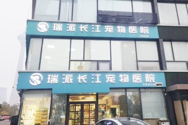 瑞派明星医生:技术内卷厚德精医,做好宠物"翻译官"