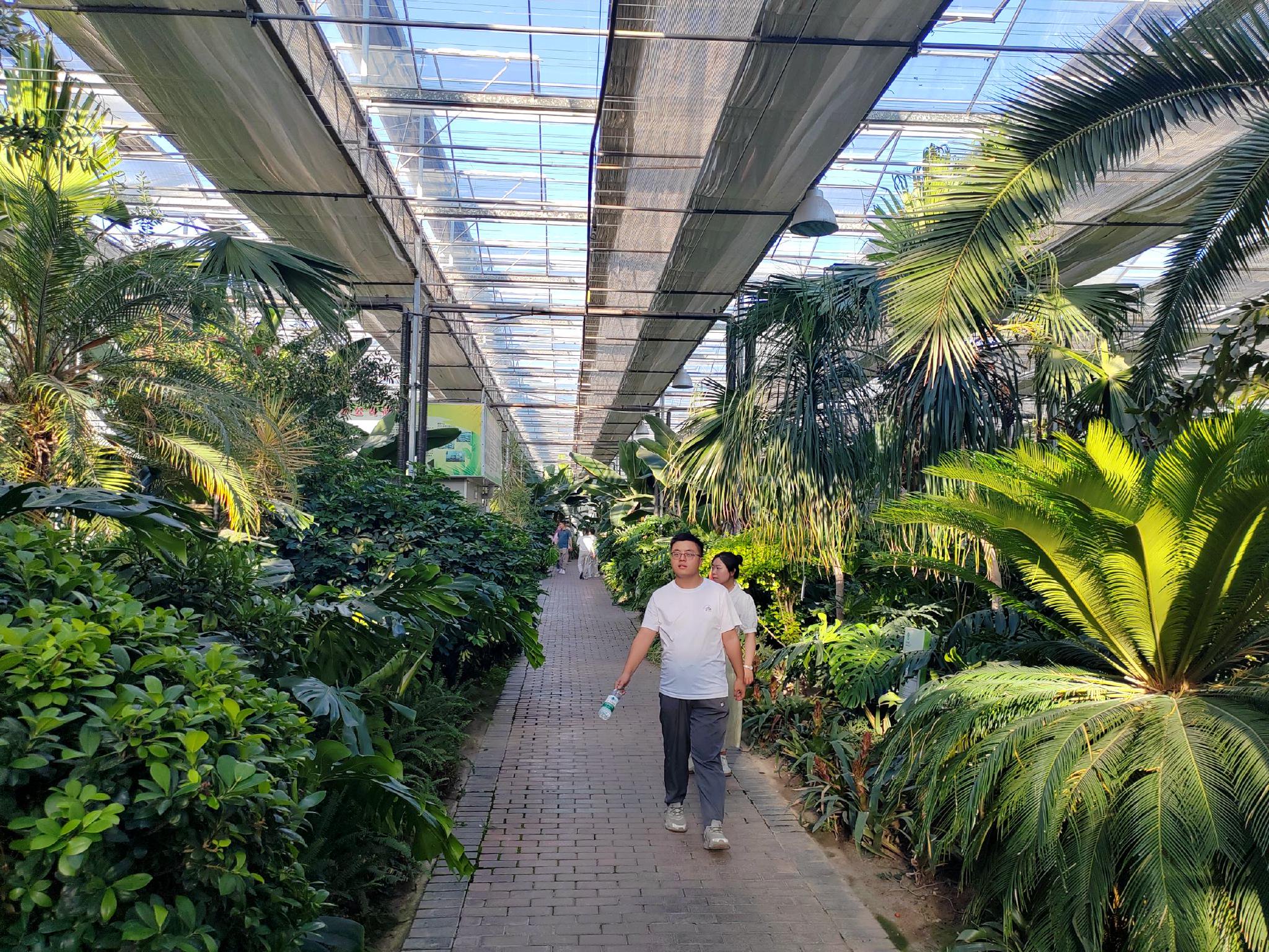 读图丨走进农博园观热带植物