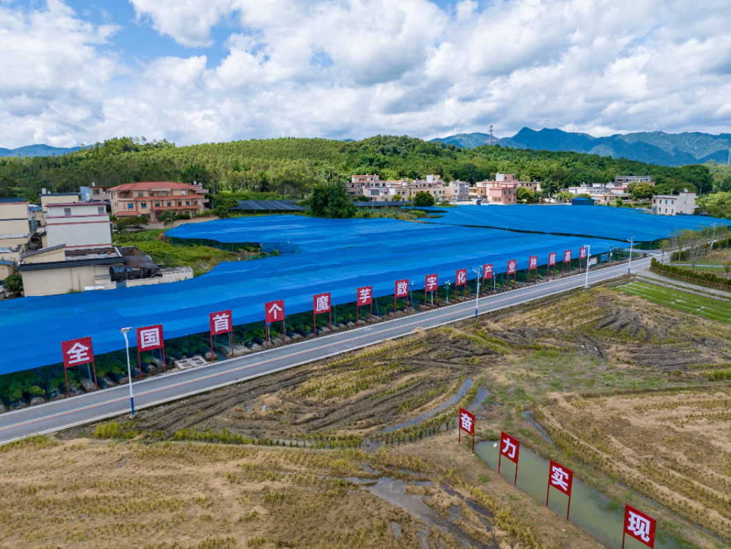 长钱长投 精准灌溉 资本赋能集成电路产业升级突围