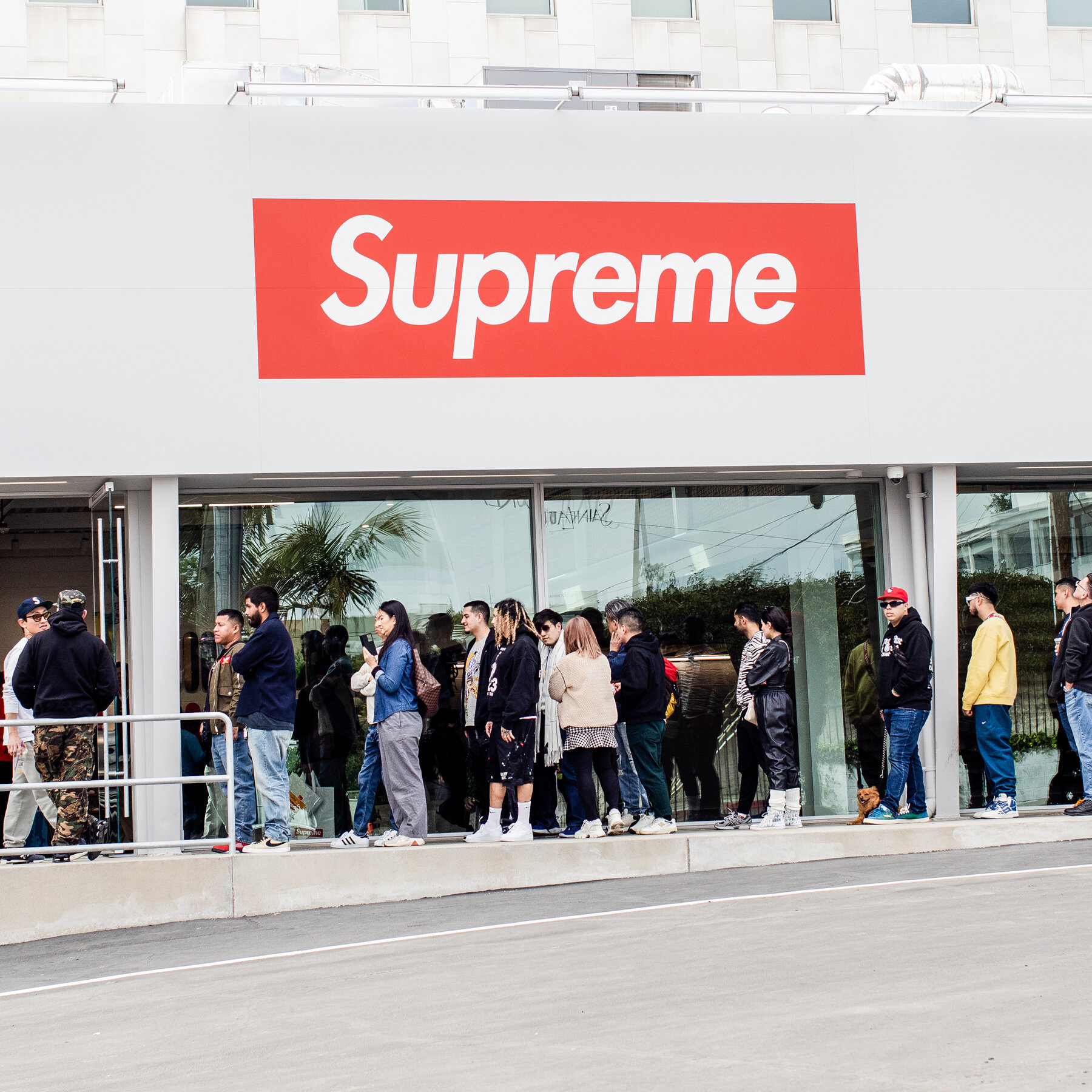 Supreming Supreme为什么沦落至被贱卖?_新浪财经_新浪网